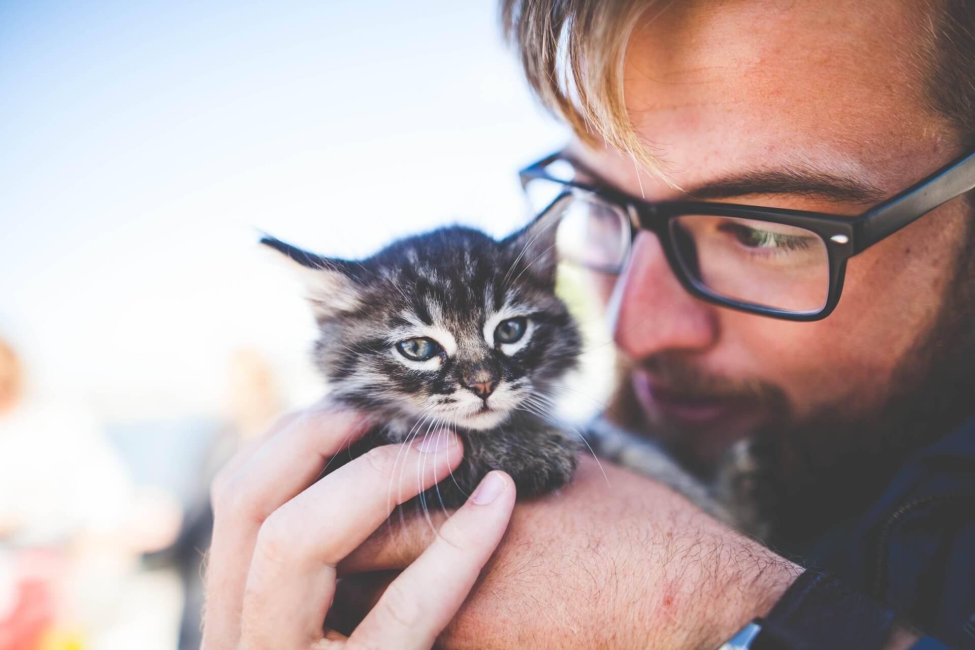 Cat services at Pleasant Hill