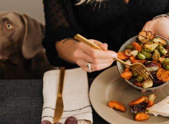 Top 5 Thanksgiving Pet Safety Tips to Avoid Emergencies This Holiday Season